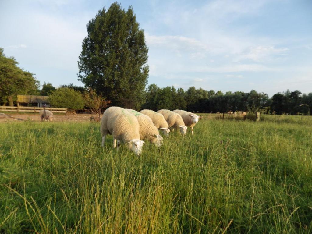 Landrust Horssen Exterior foto