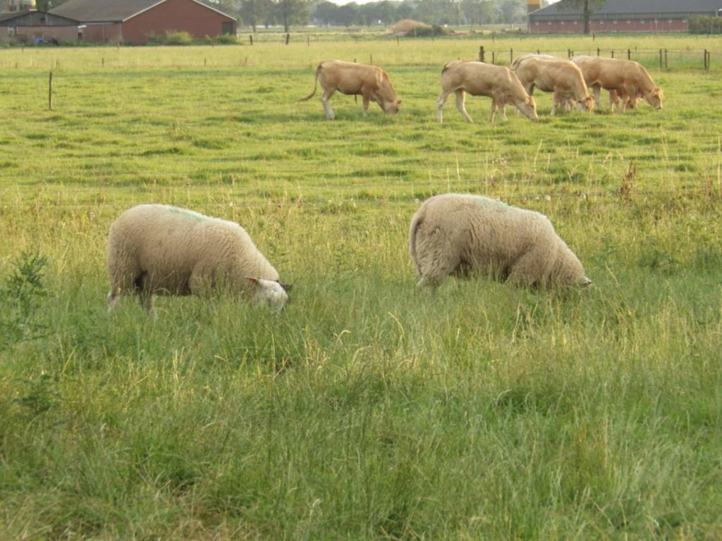 Landrust Horssen Exterior foto